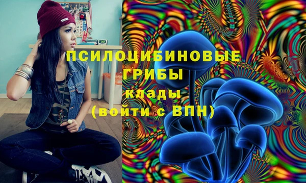 мдпв Осинники